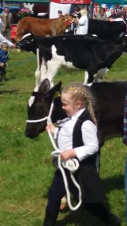 Pulford Farm Dairies